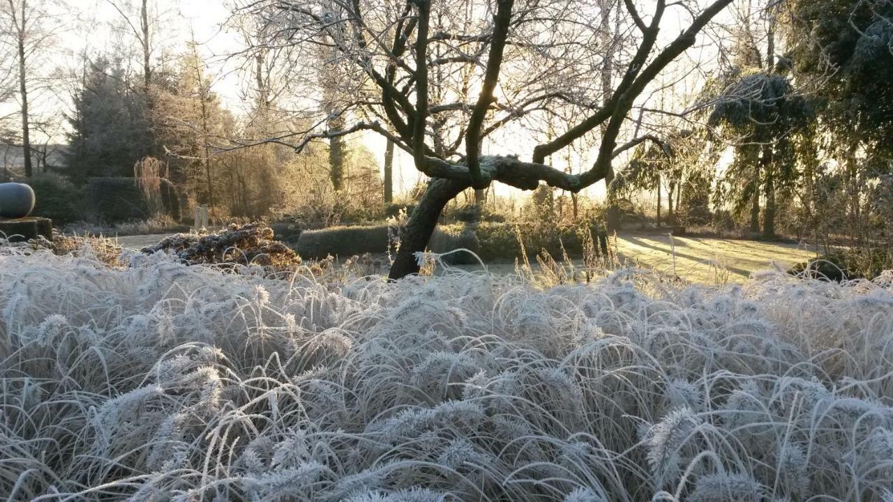 Gastenverblijf 'T Nagtegaeltje Sint-Oedenrode Exterior foto
